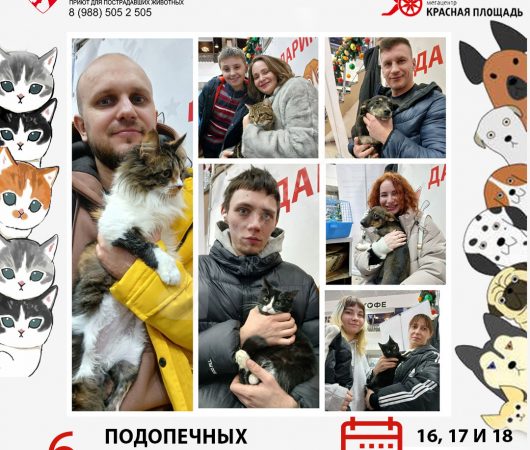 Итоги выставки в Мегацентре 